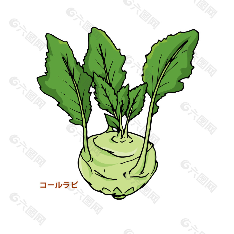 卡通日式萝卜插画