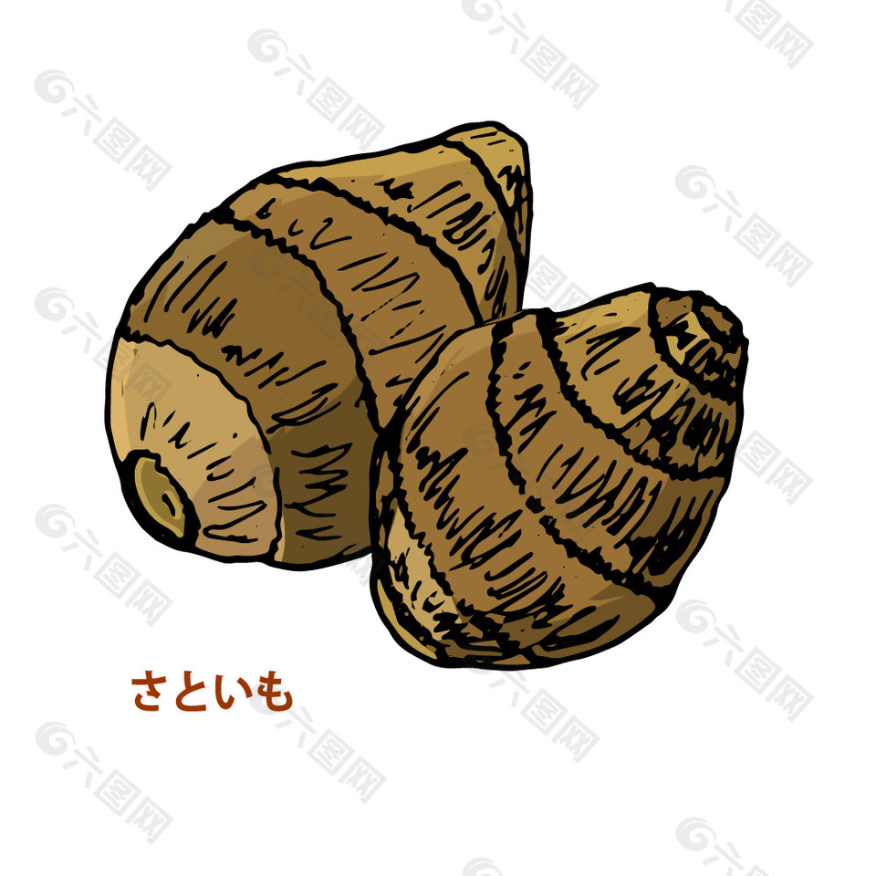 手绘芋头食品插画