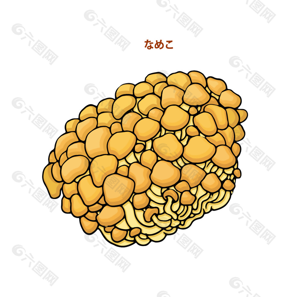 火锅菌菇食材插画