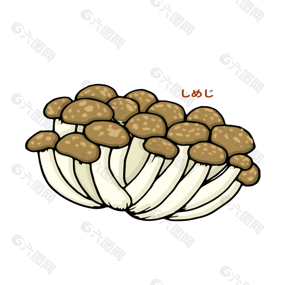 美味海鲜菇插画
