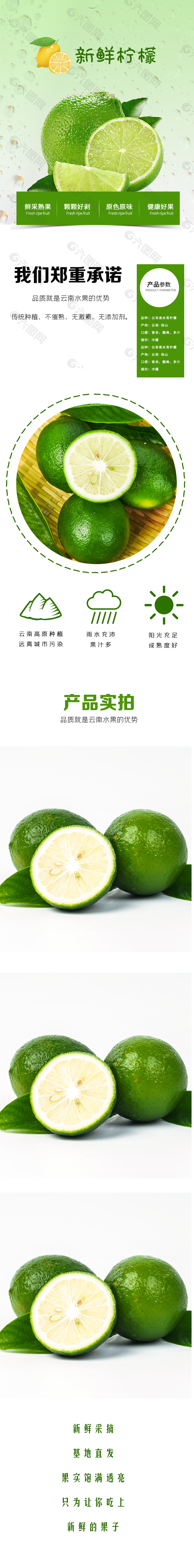 绿色健康新鲜柠檬淘宝电商详情页设计