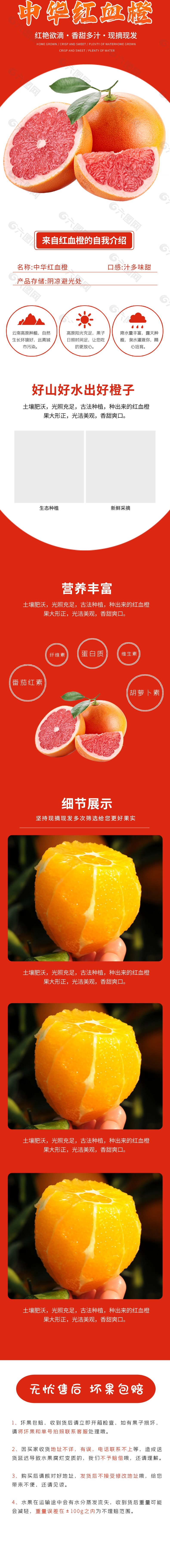 汁多味甜水果中华红血橙淘宝电商详情页素材