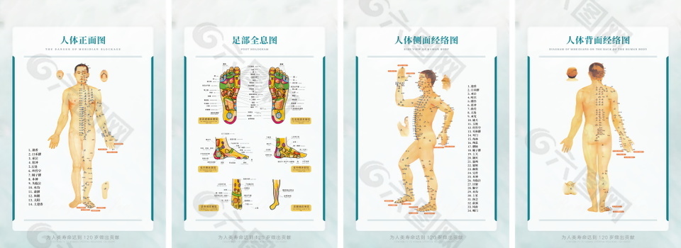 中医人体经络图海报