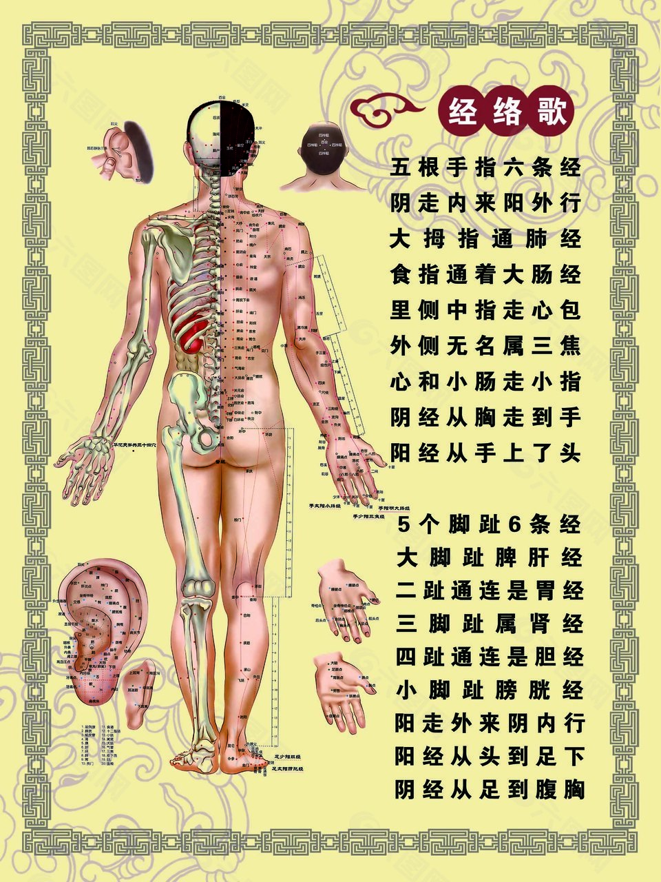 经典经络歌中医文化海报