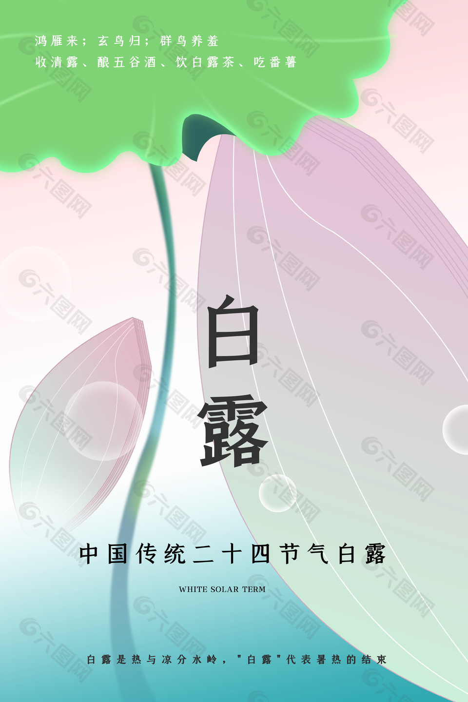 清新二十四节气白露海报