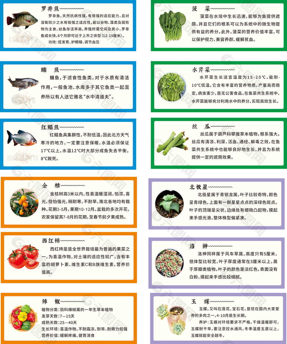 蔬菜鱼类营养产品介绍包装标签设计