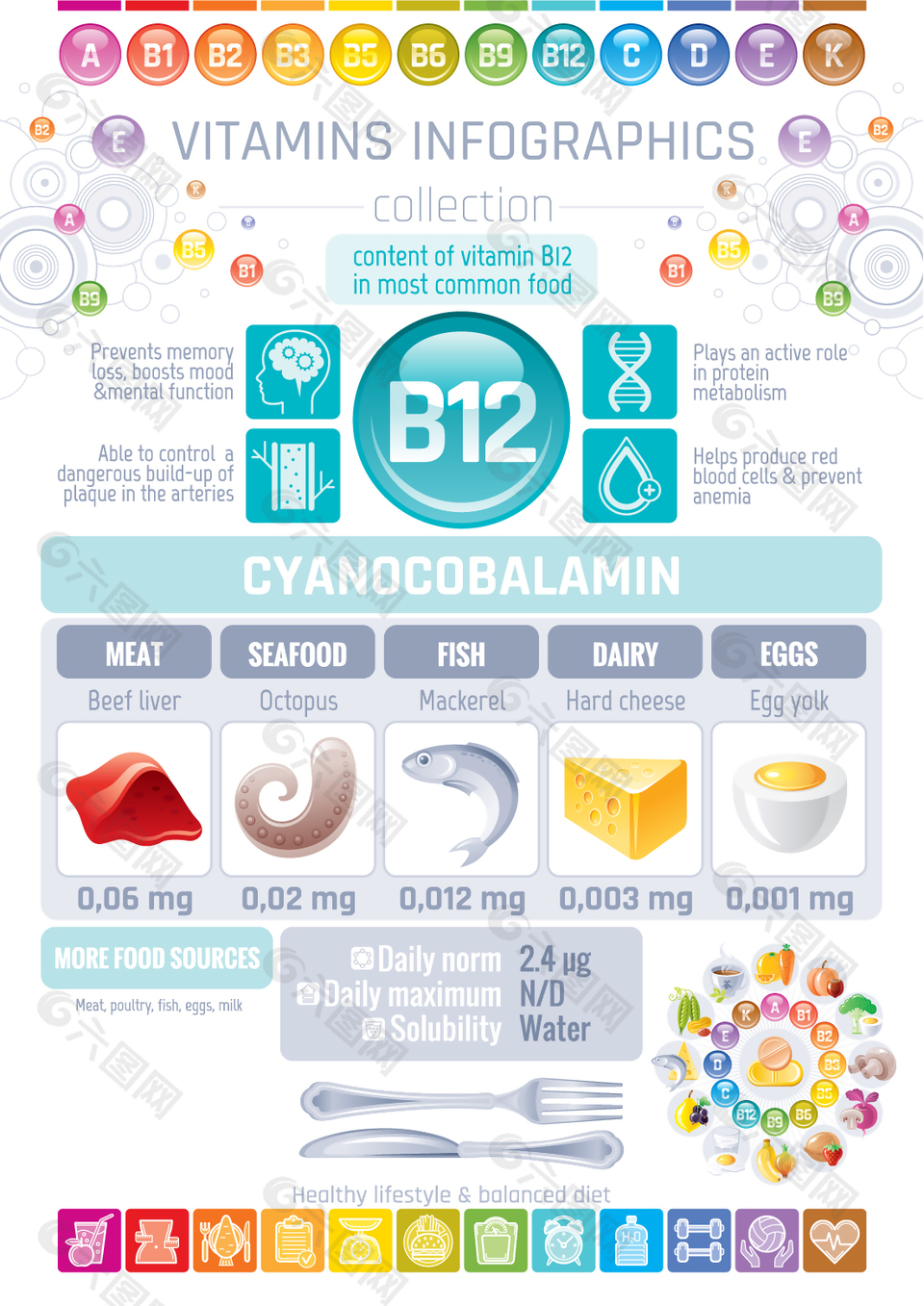 蓝色营养维生素B12信息表