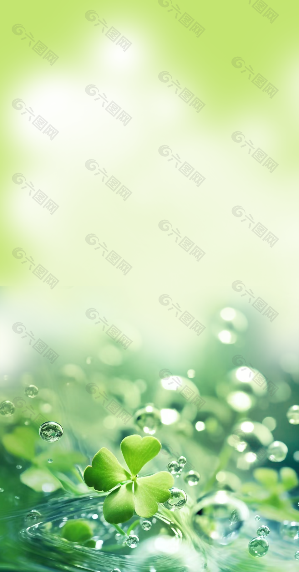 文艺清新灵动绿色四叶草背景底图