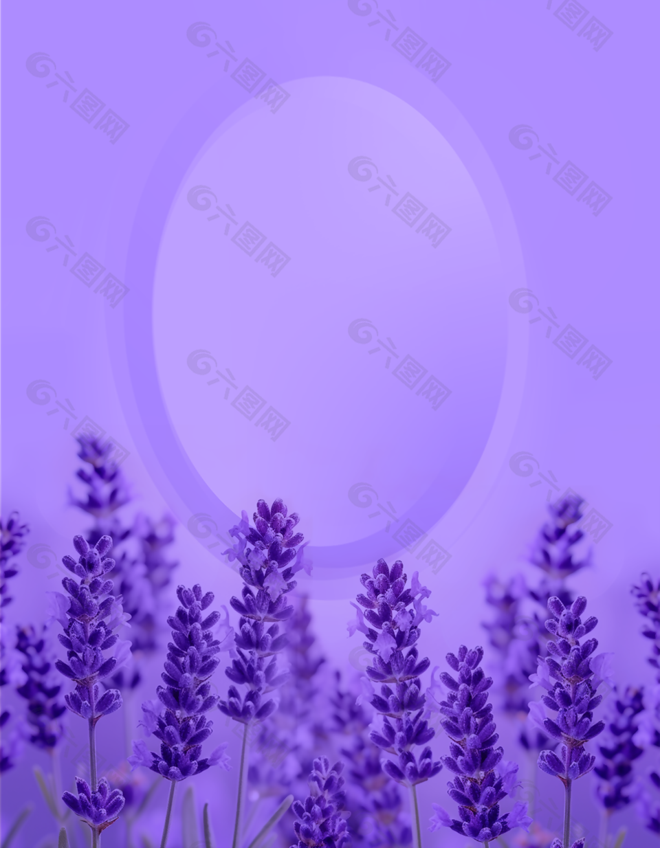 紫色浪漫薰衣草背景图设计