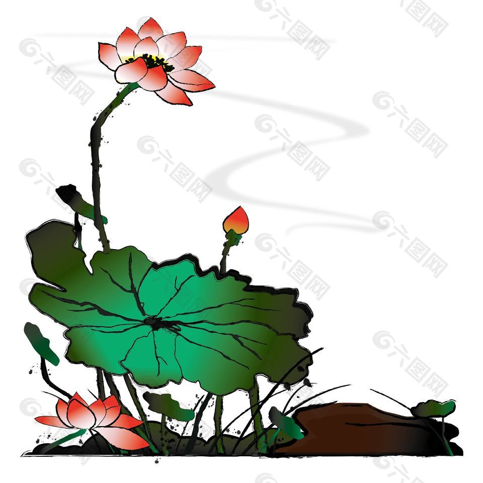 中国风水墨画夏日荷花手绘插画