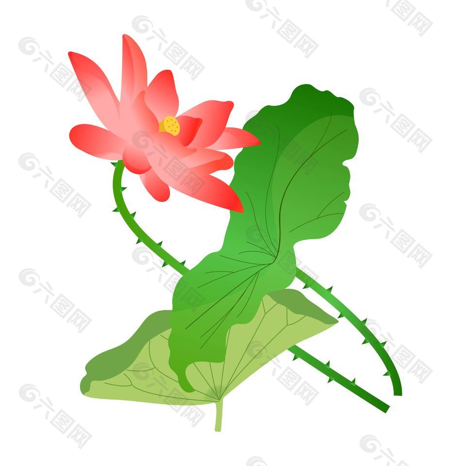 可爱小清新荷花荷叶插画