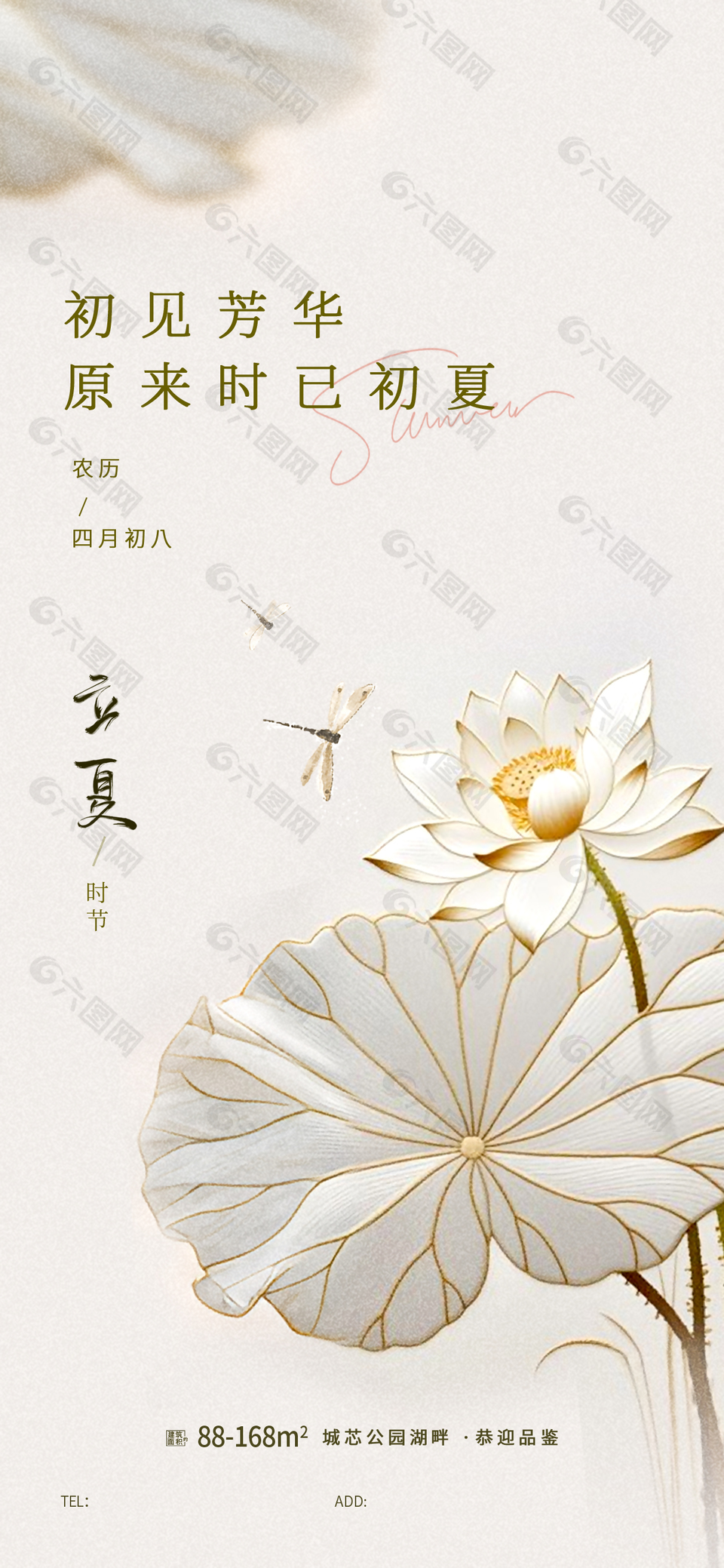 初见芳华时已初夏大气简约立夏海报