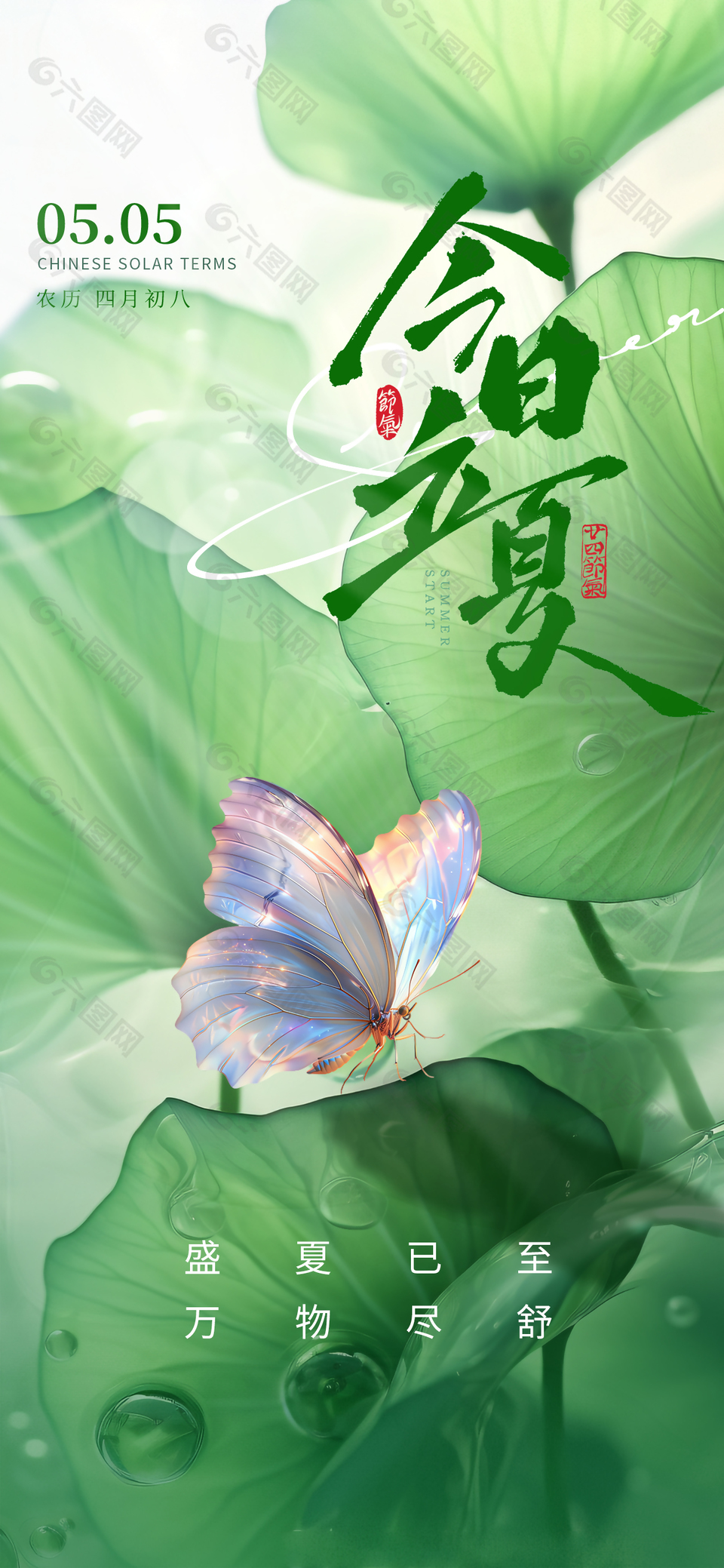 今日立夏绿色荷叶主视觉清新海报
