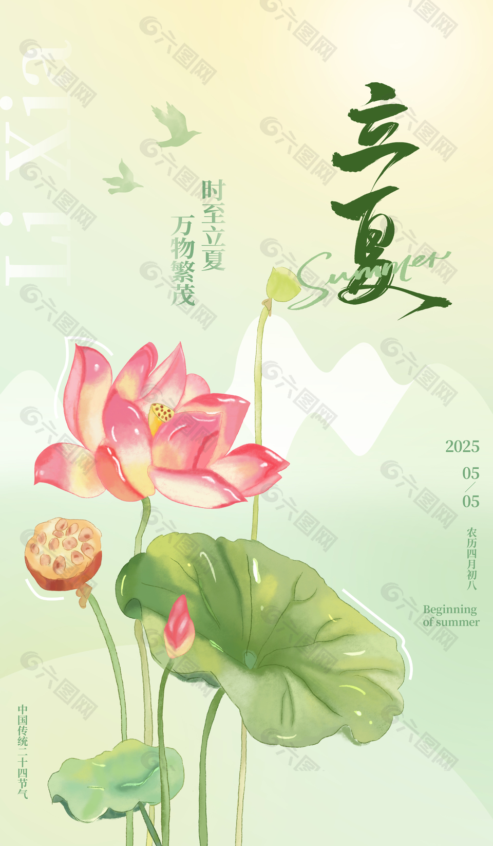 时至立夏万物繁茂传统手绘荷花海报