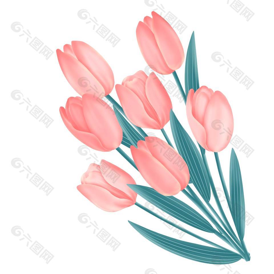 浪漫感恩母亲节郁金香鲜花