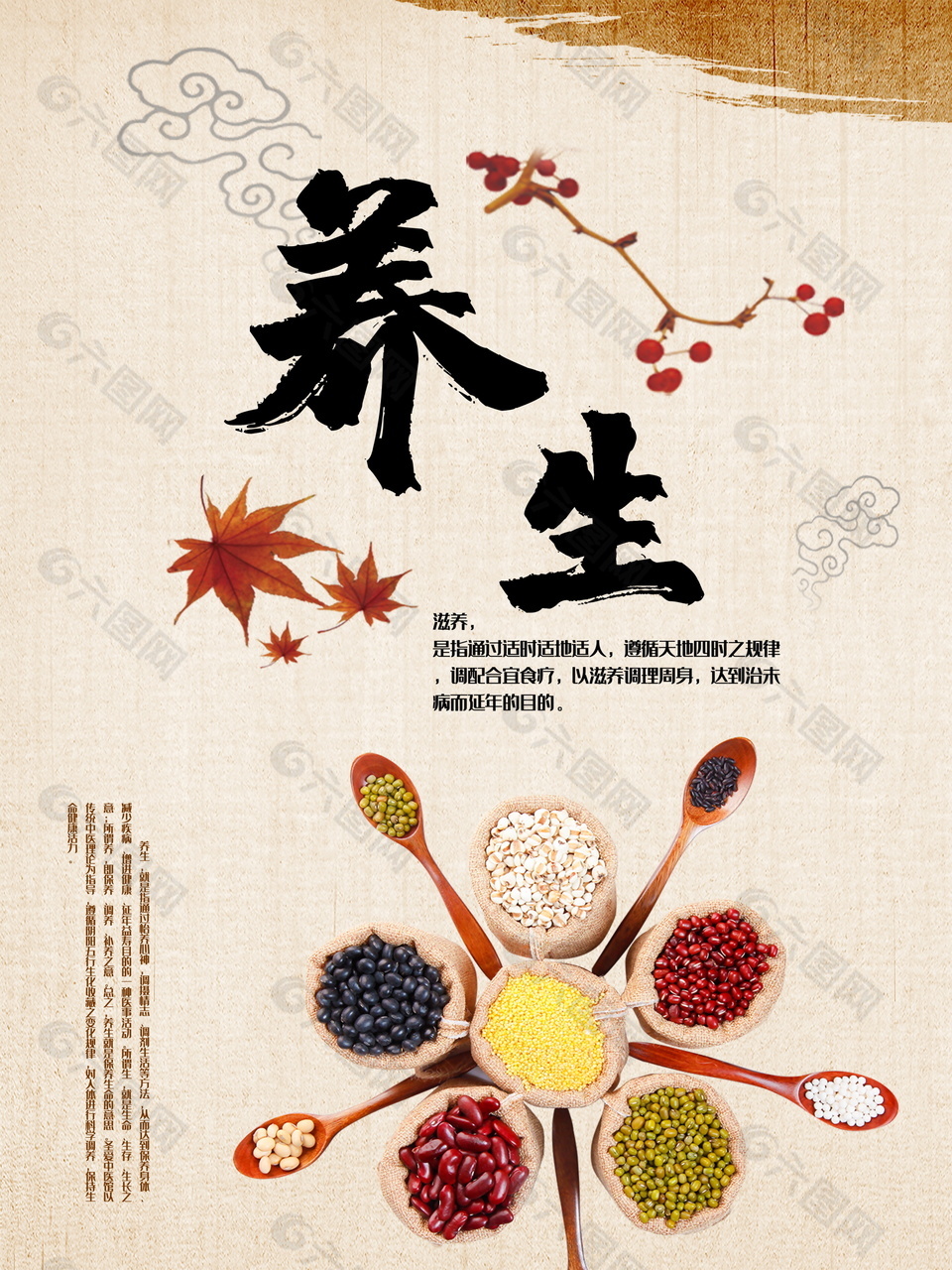 中医养生简约海报