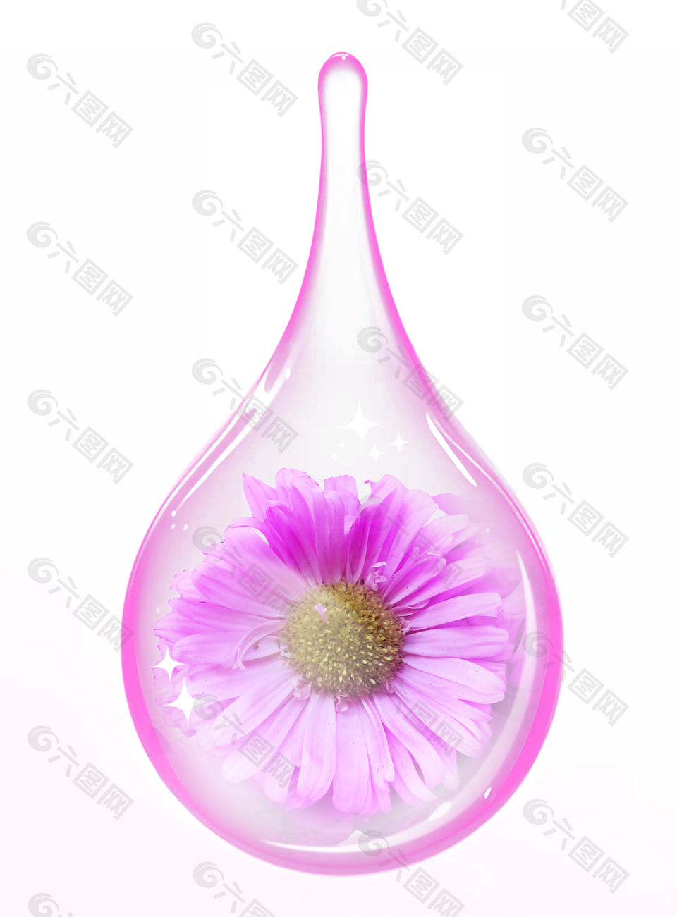 粉紫色雏菊水滴形状装饰图案