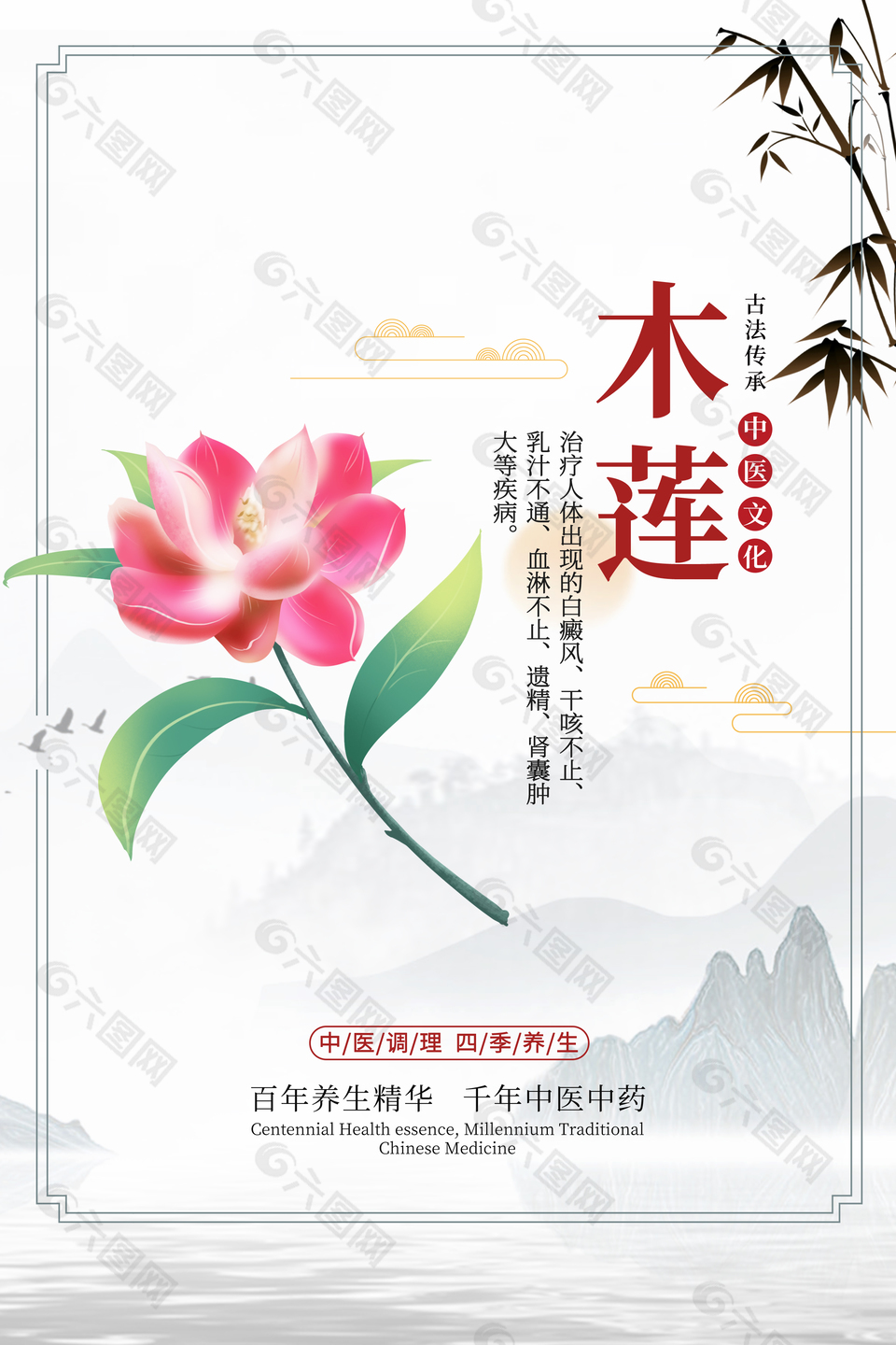 传统中医药木莲药理知识海报