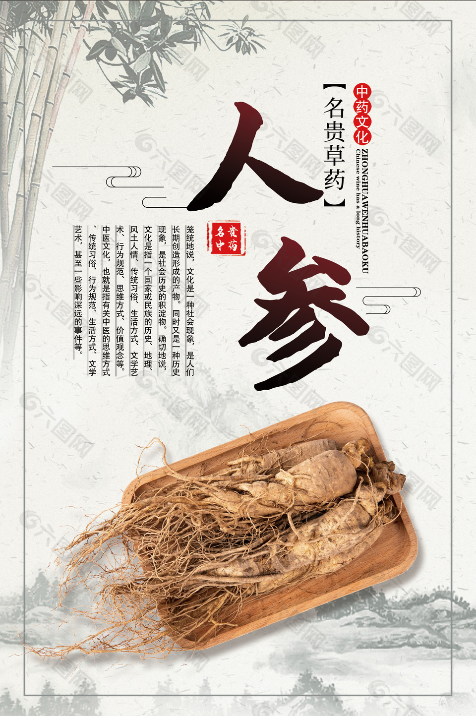 名贵中草药人参药理知识海报