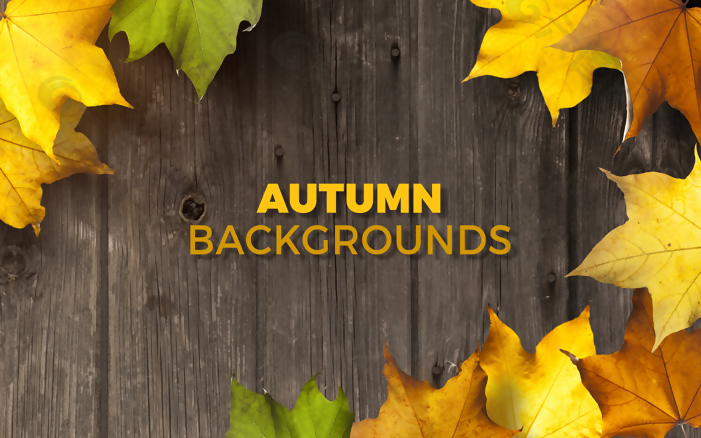 秋季新品活动促销树叶木板背景