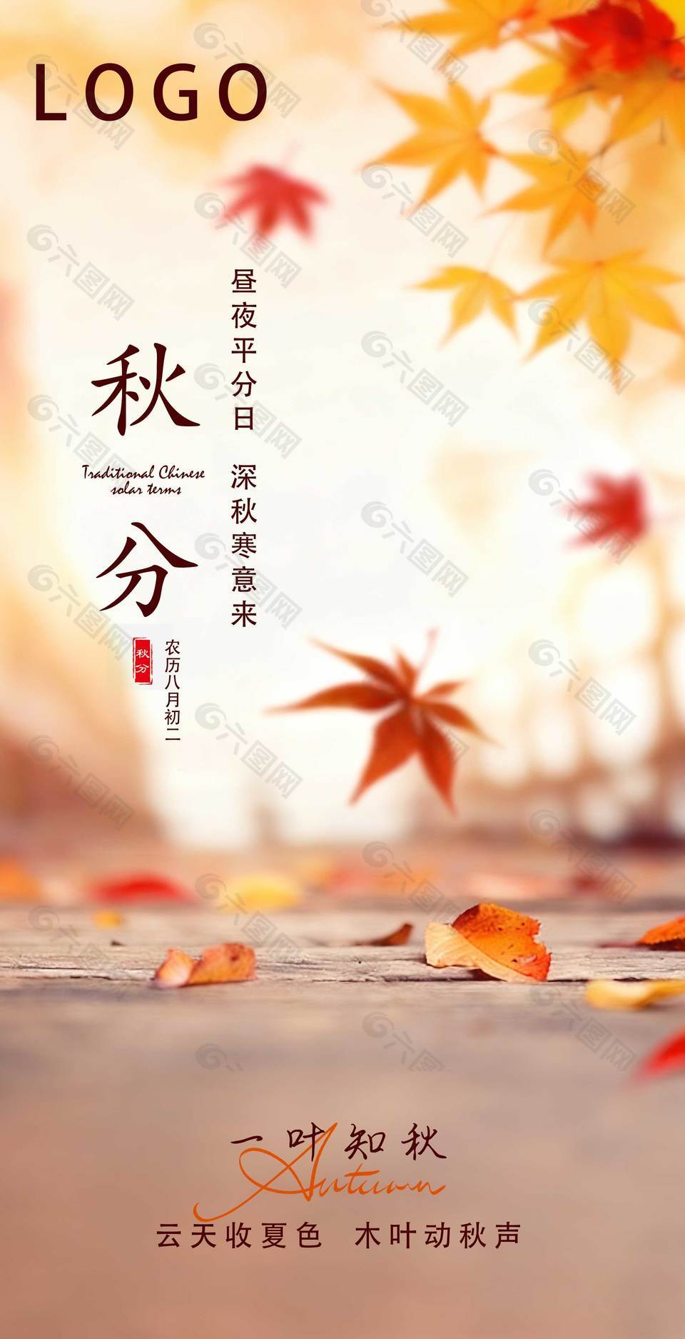 简约唯美秋分节气宣传海报