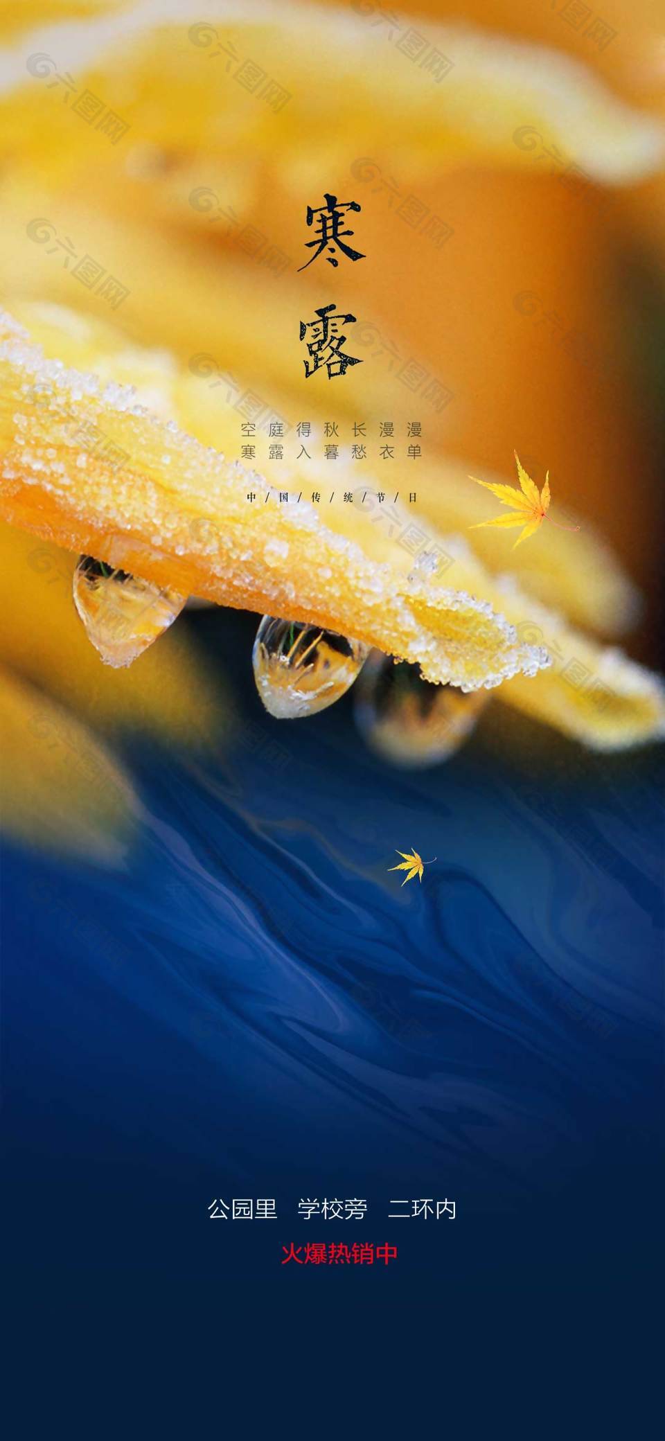 简约风寒露节气地产宣传海报