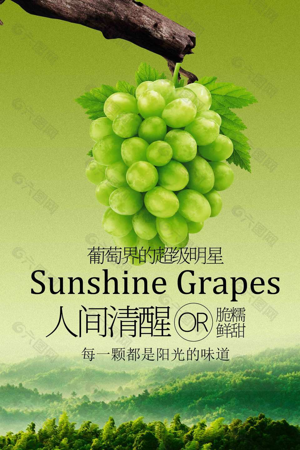 创意青提葡萄水果绿色背景海报