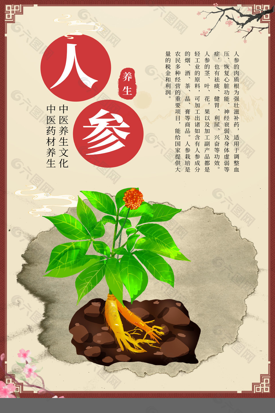 中医药材人参药理知识宣传海报