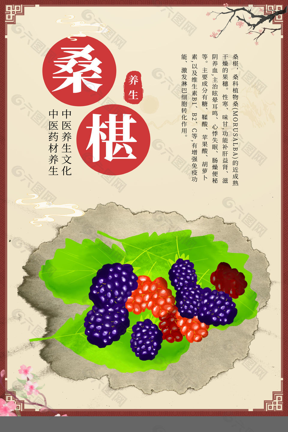 中医药材桑葚药理知识宣传海报
