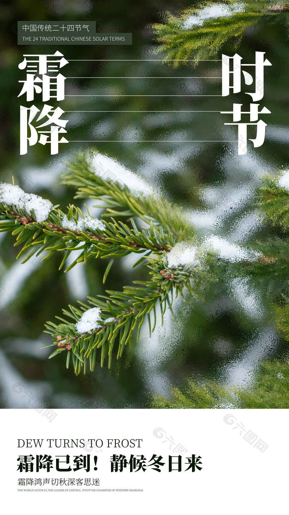 清新自然风传统节气霜降海报