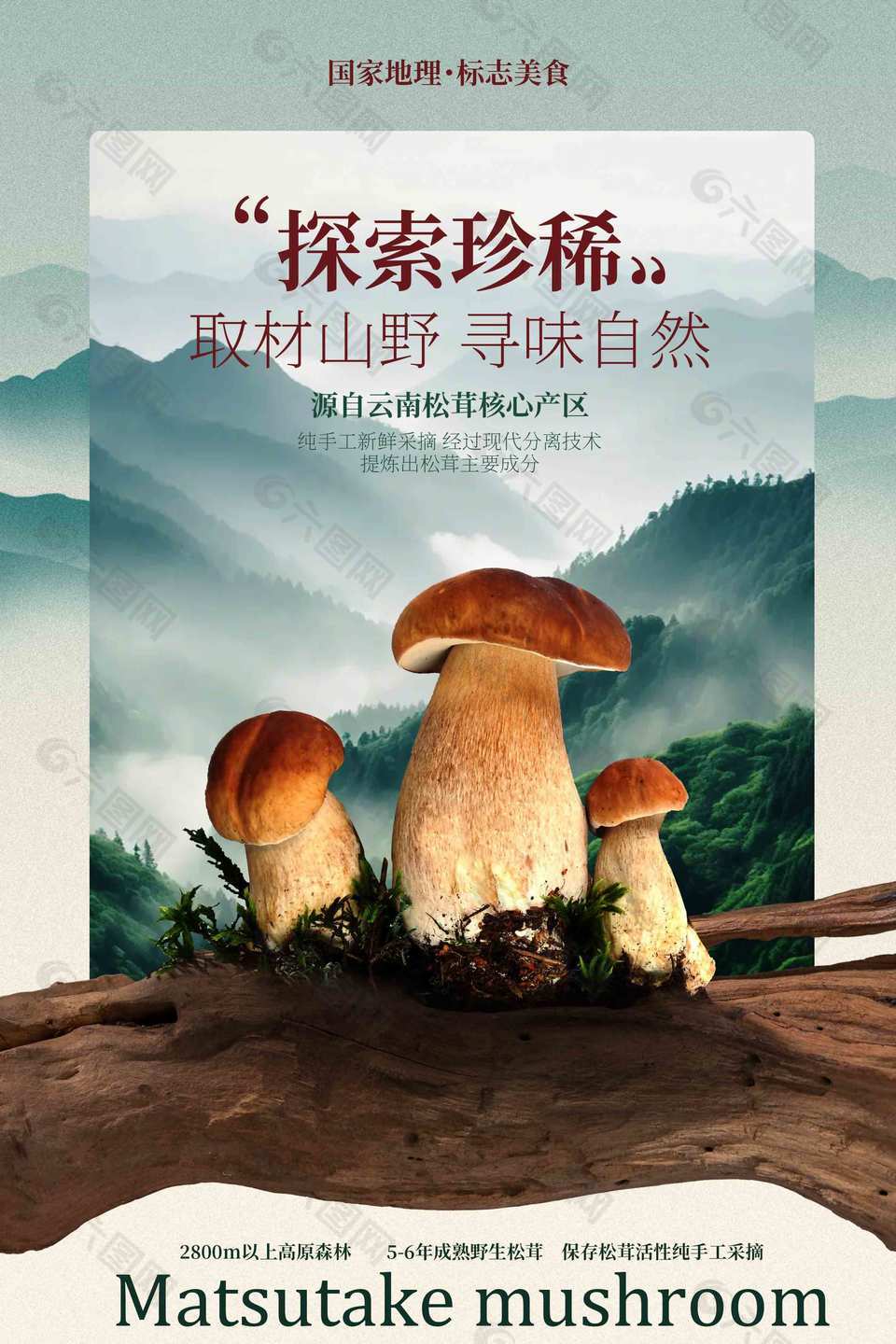 取材山野寻味自然松茸食材宣传海报