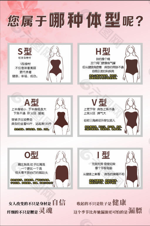 身材体型科普塑性海报