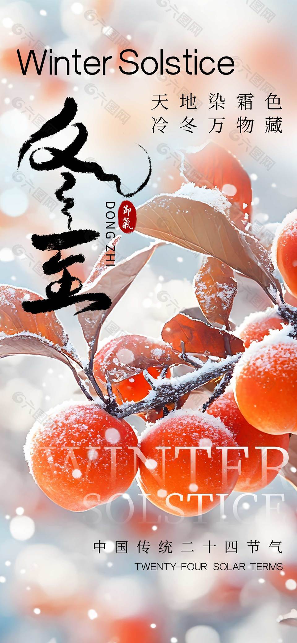 天地染霜色冬至传统节气海报