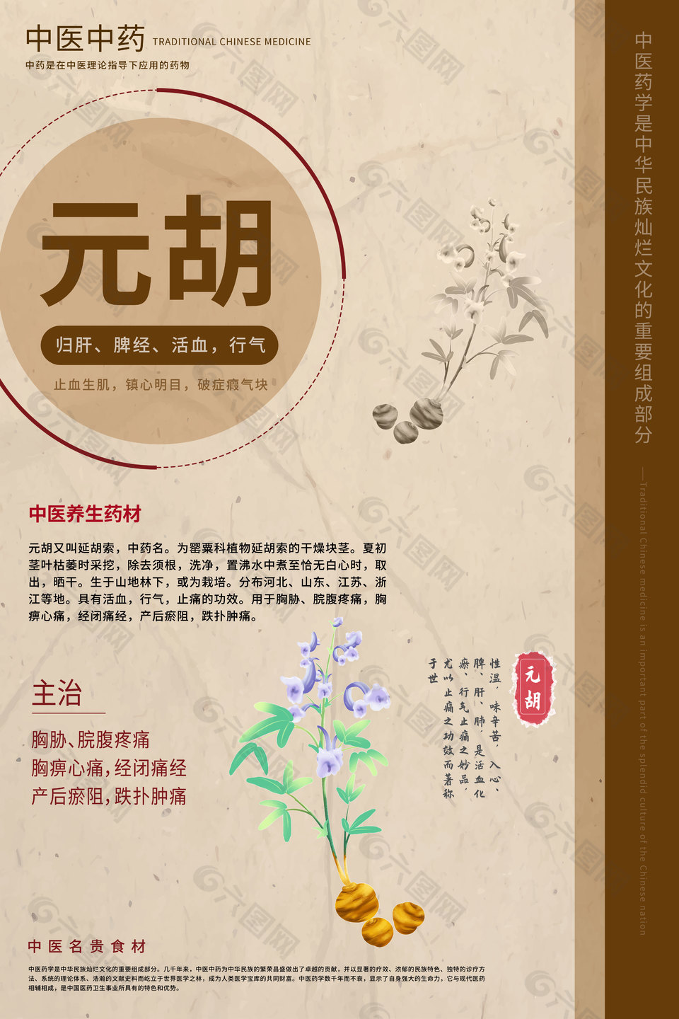 中医养生药学元胡药理知识海报