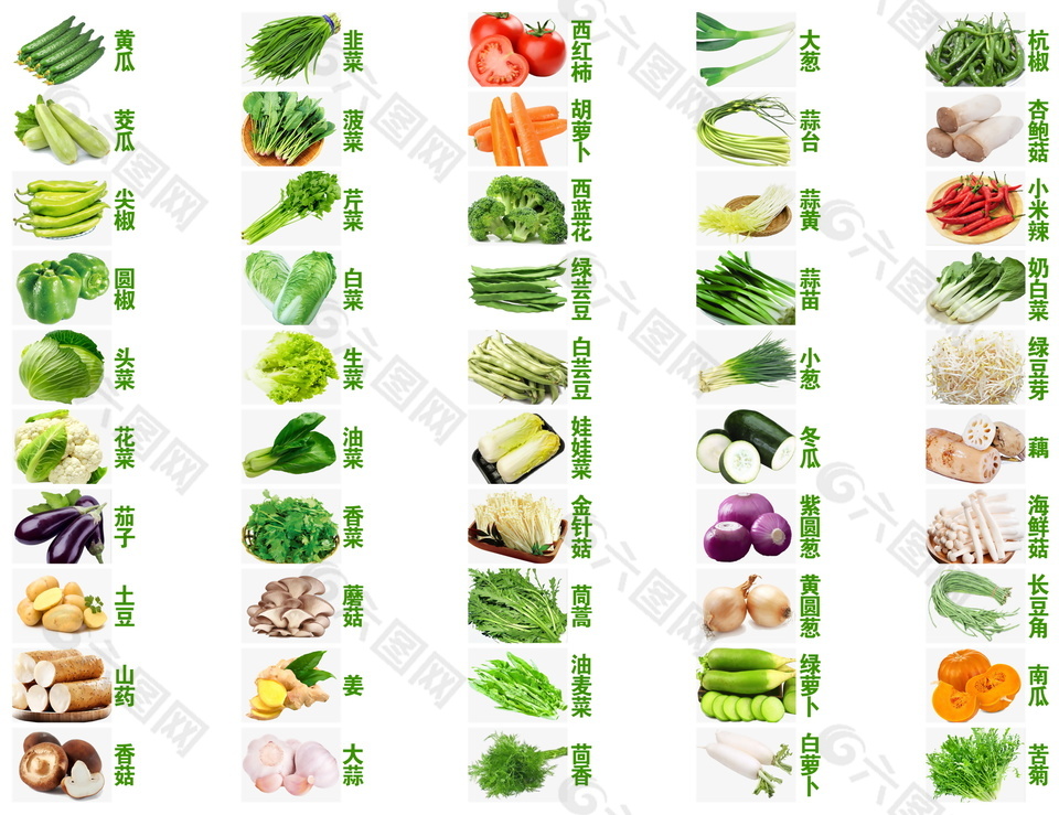 新鲜蔬菜认知图设计