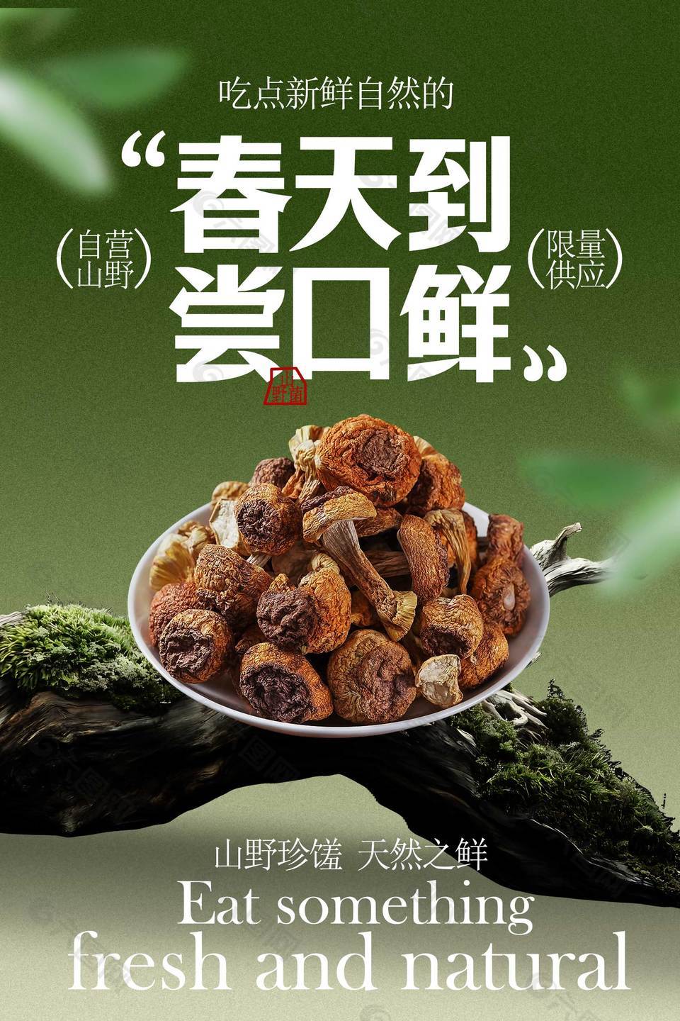 小清新春天尝鲜野山菌美食海报