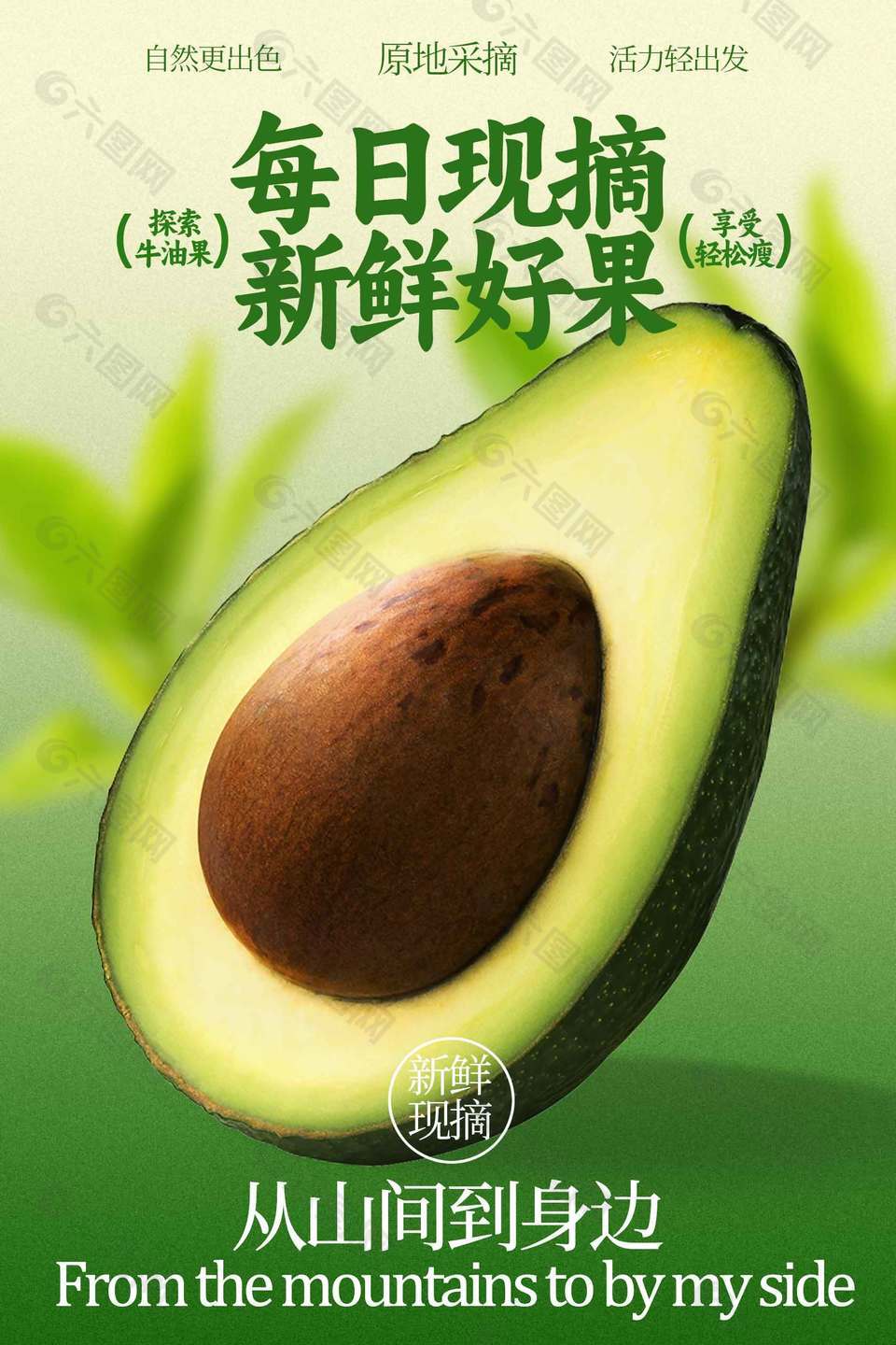 每日现摘新鲜牛油果水果海报
