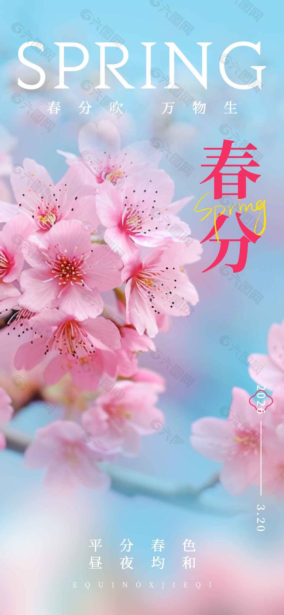 春日万物生春分传统节气海报