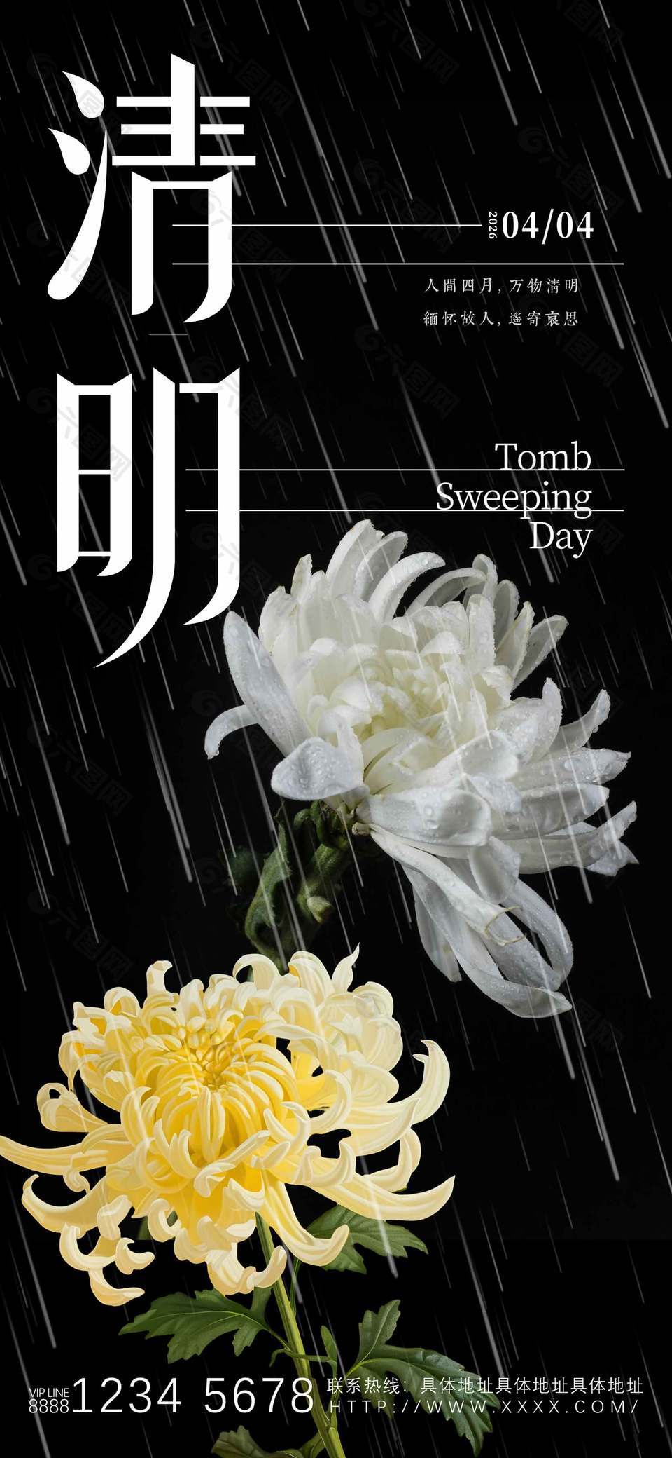 4月4日清明节菊花摄影图简约海报