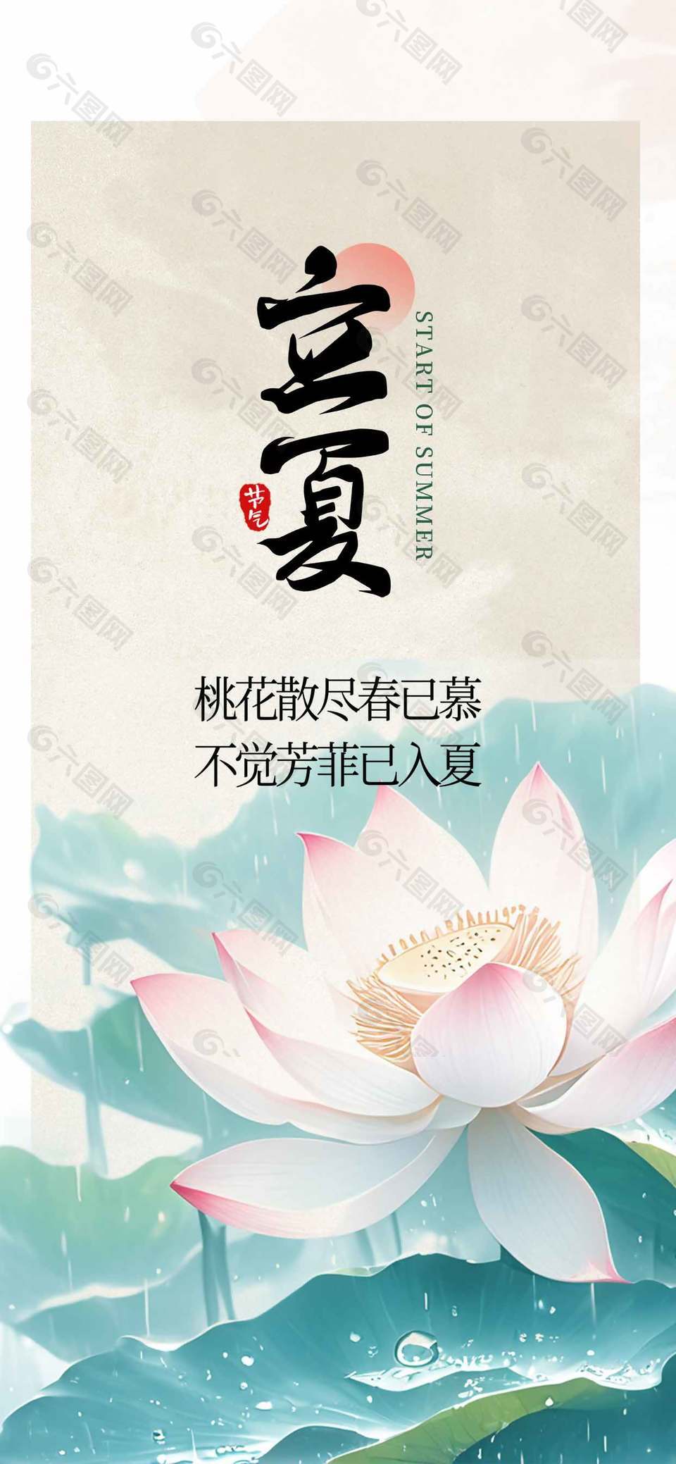 简约中式风格立夏节气荷花荷叶背景海报