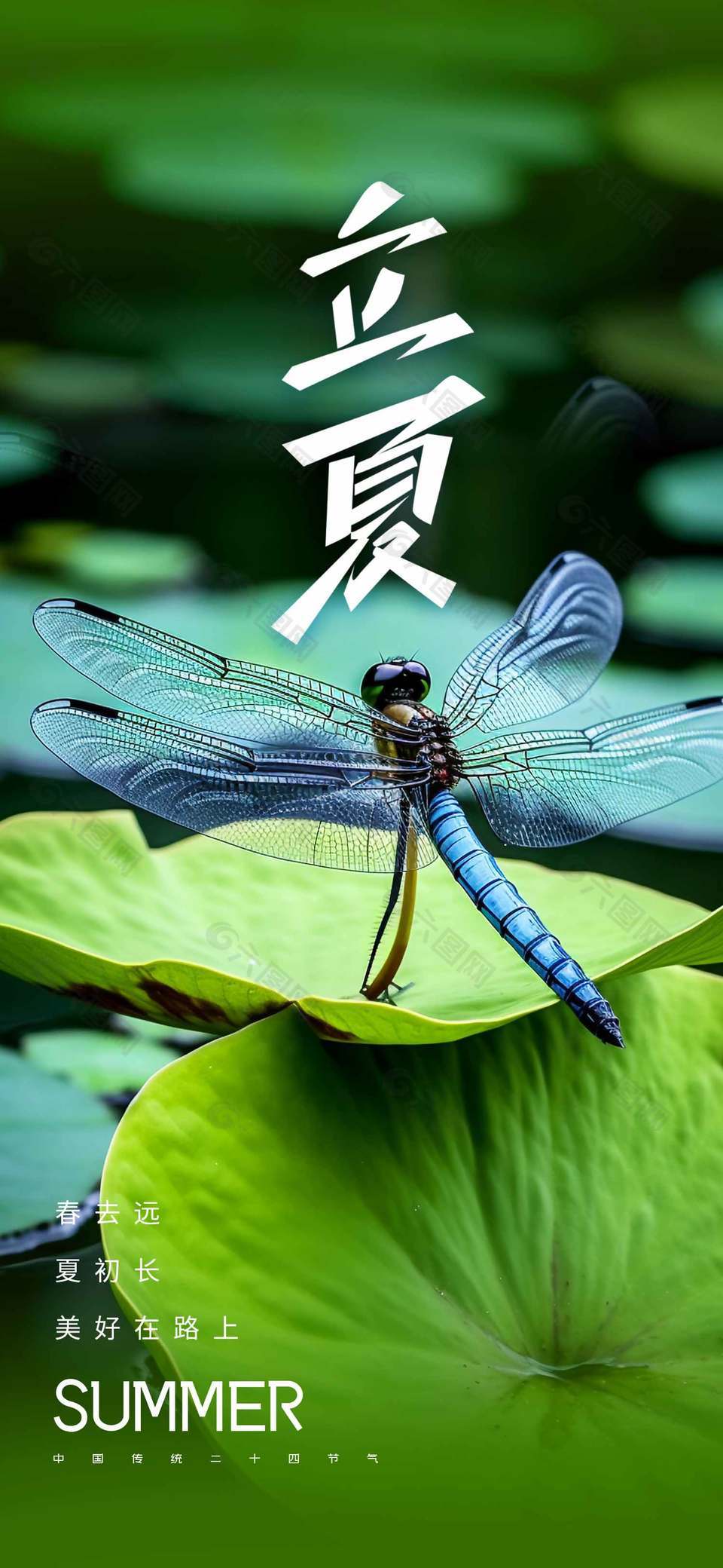 立夏节气蜻蜓立荷尖夏日背景海报设计