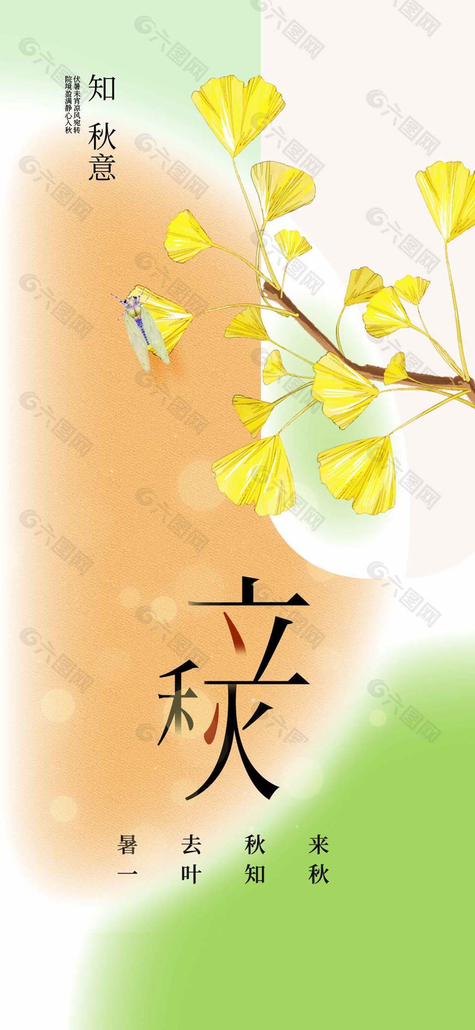 立秋二十四节气银杏树插画简约海报